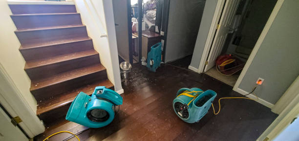 Best Sewage cleanup and water damage restoration  in Dania Beach, FL