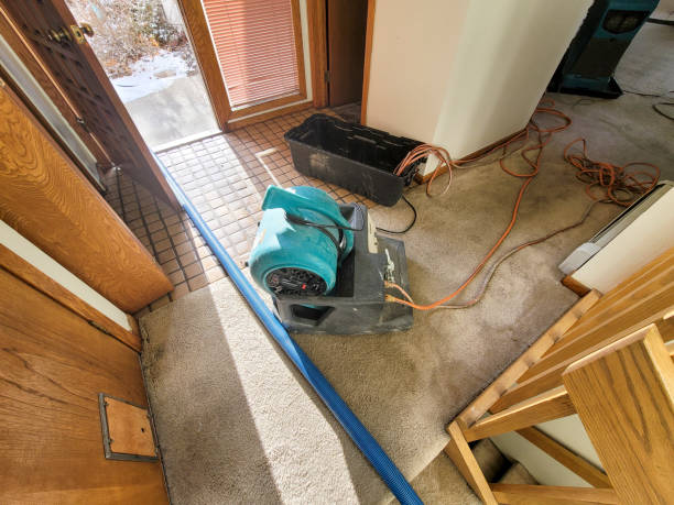 Best Flooded house restoration  in Dania Beach, FL