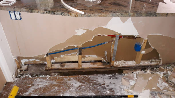 Best Local water damage restoration  in Dania Beach, FL