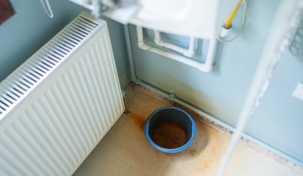 Water damage restoration mold remediation in Dania Beach, FL
